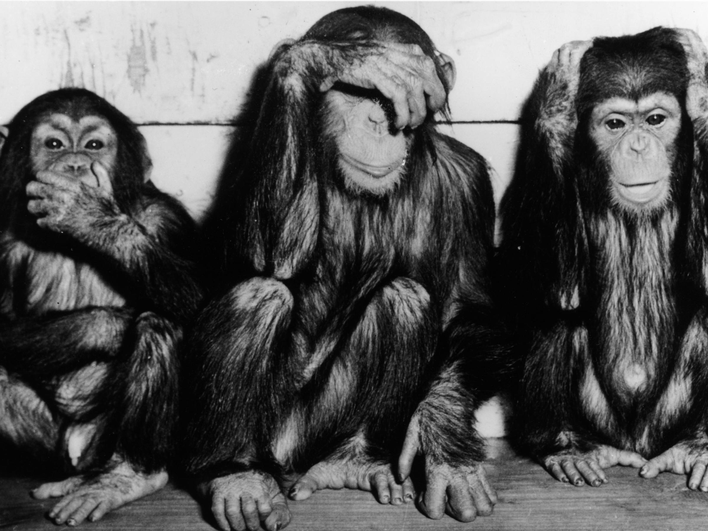 The Case Of The 3 Monkeys Is Tearing Twitter In Two | KRWG
