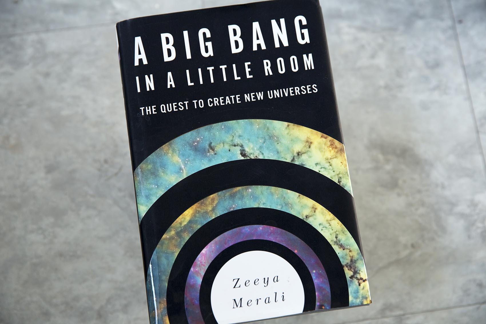 The Little Book of the Big Bang