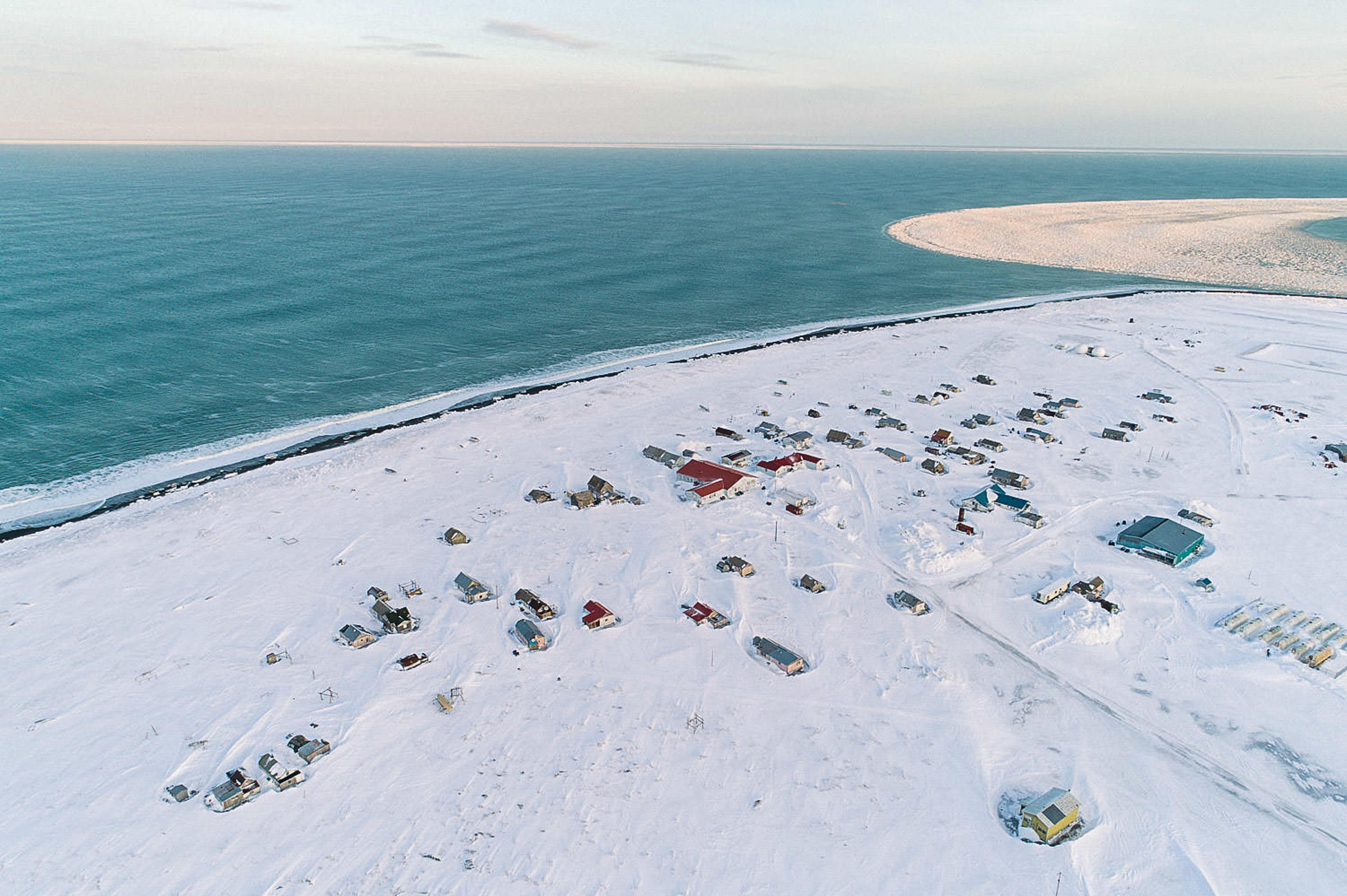 lawrence island in the bering sea.