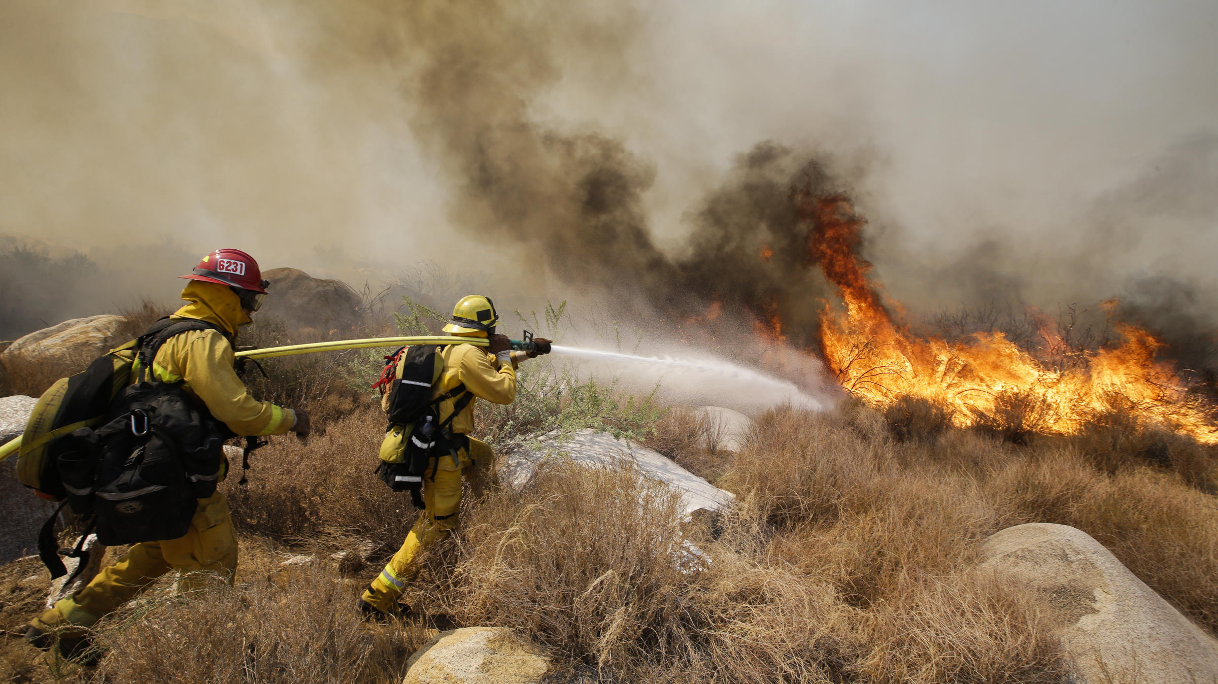 What Are Wildfire Firefighters Called