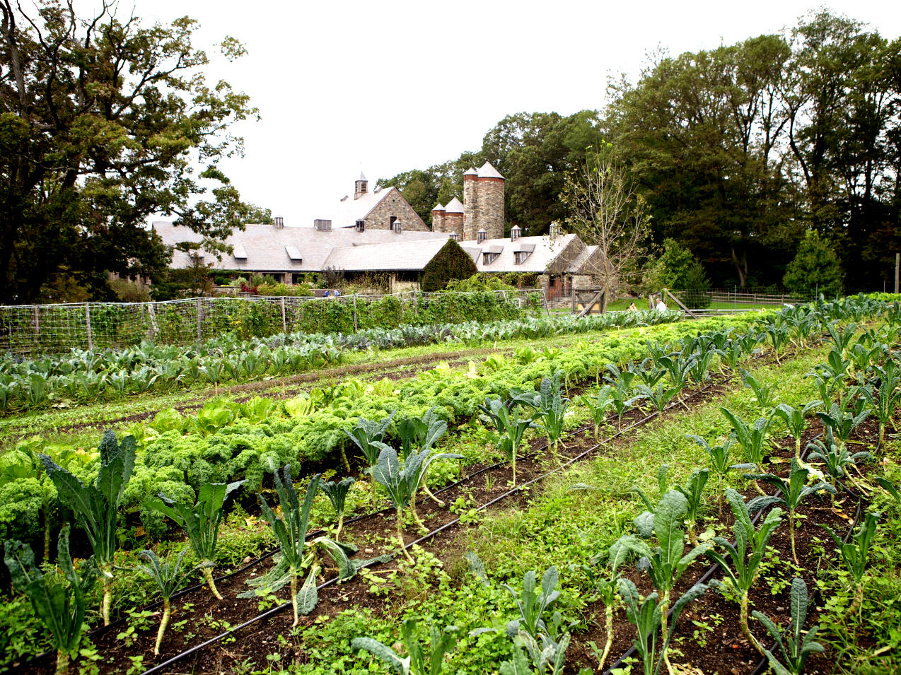 Third Plate Reimagines Farm To Table Eating To Nourish The Land