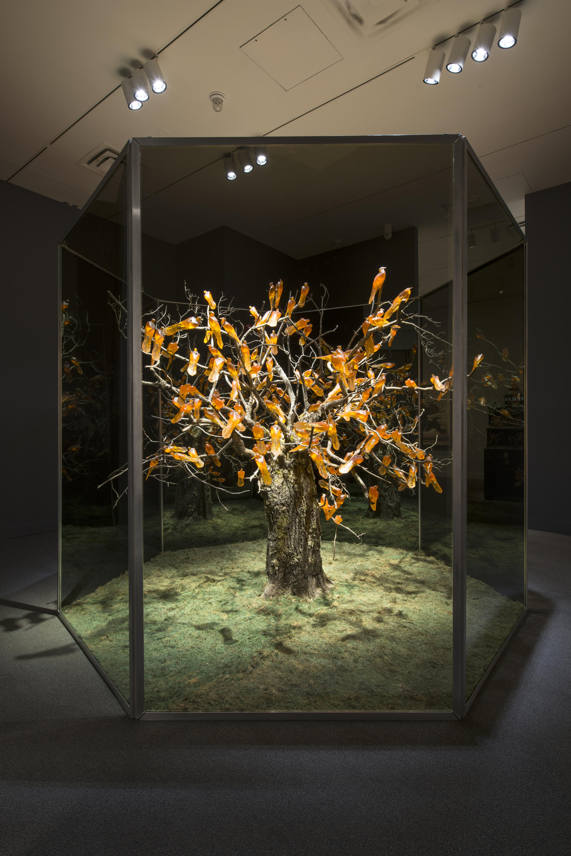 Beautiful Bird Exhibit Spotted At Smithsonian WPSU