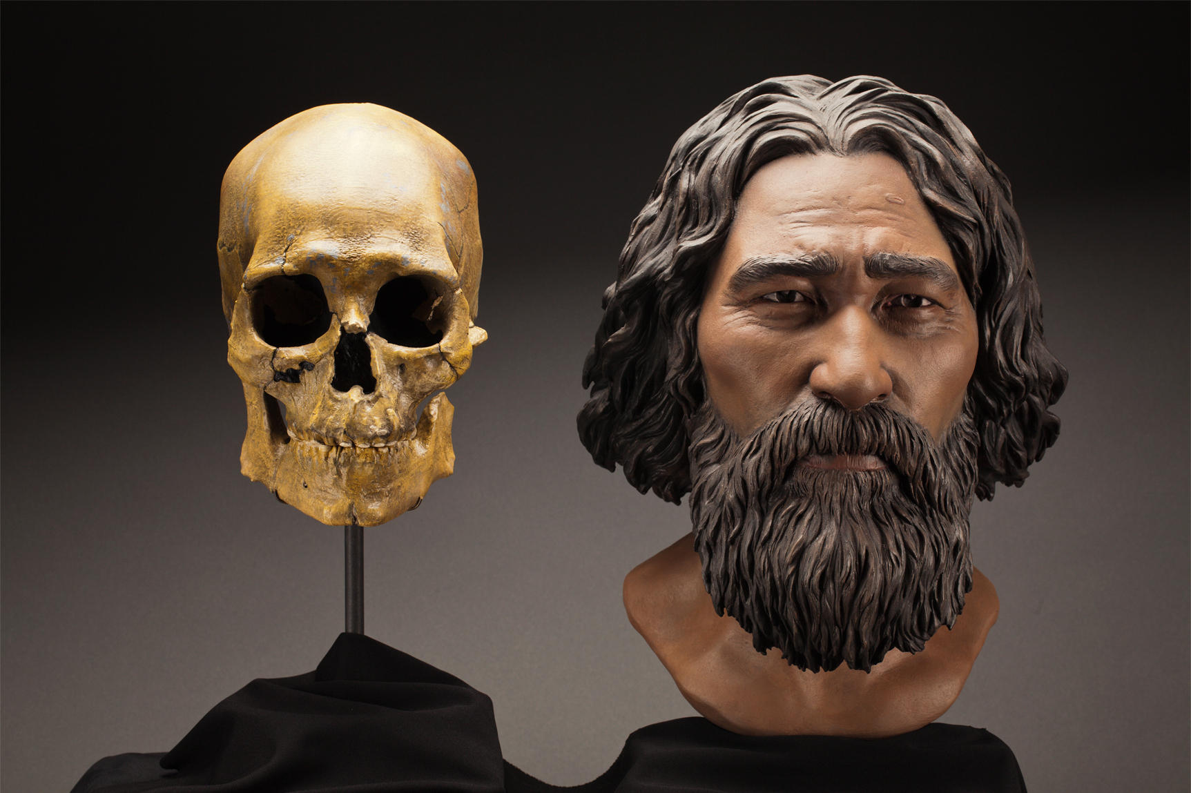 Dna Confirms Kennewick Man S Genetic Ties To Native Americans Knkx