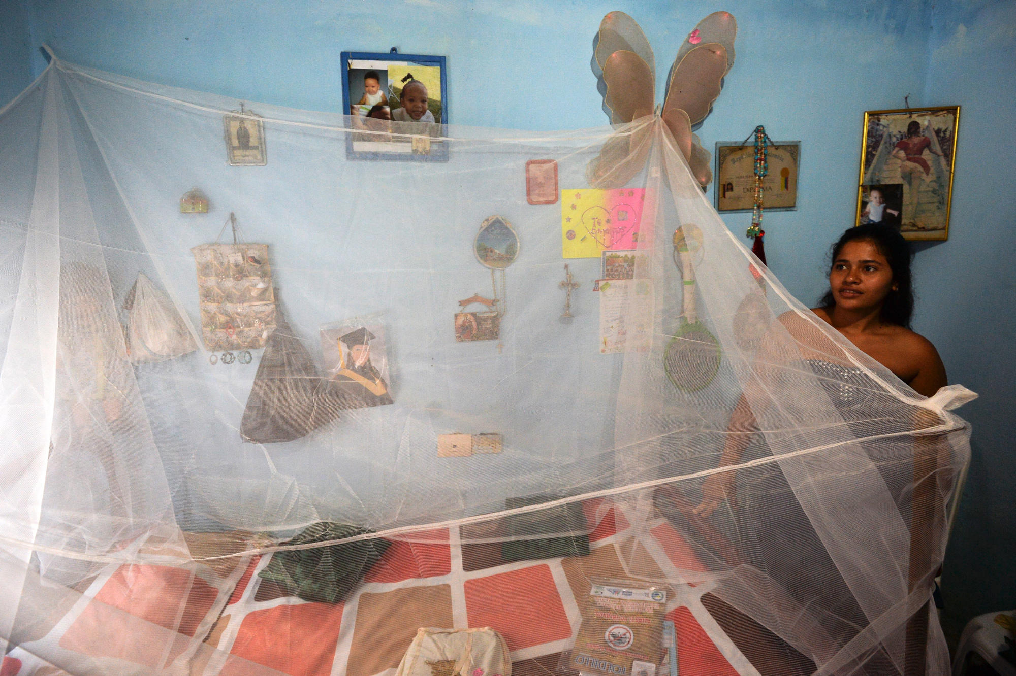 mosquito net next day delivery