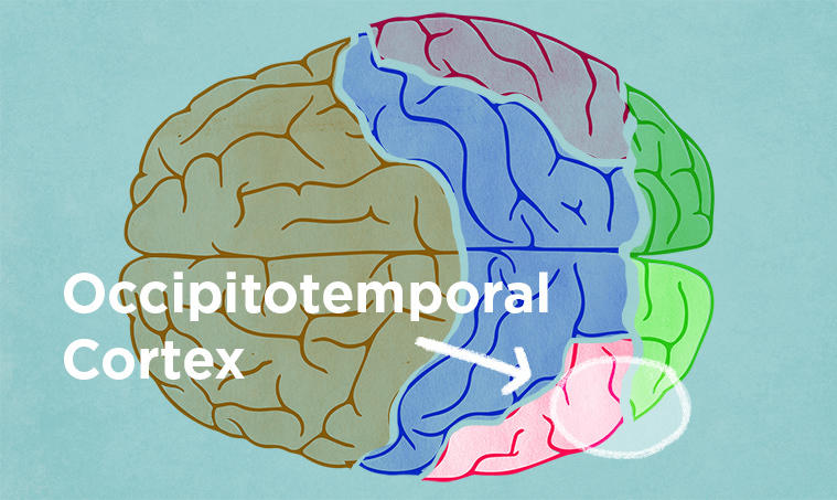 How Science Is Rewiring Dyslexic Brain >> How Science Is Rewiring The Dyslexic Brain Wosu Radio How Science Is Rewiring Dyslexic Brain >> How Science Is Rewiring The Dyslexic Brain Wosu Radio