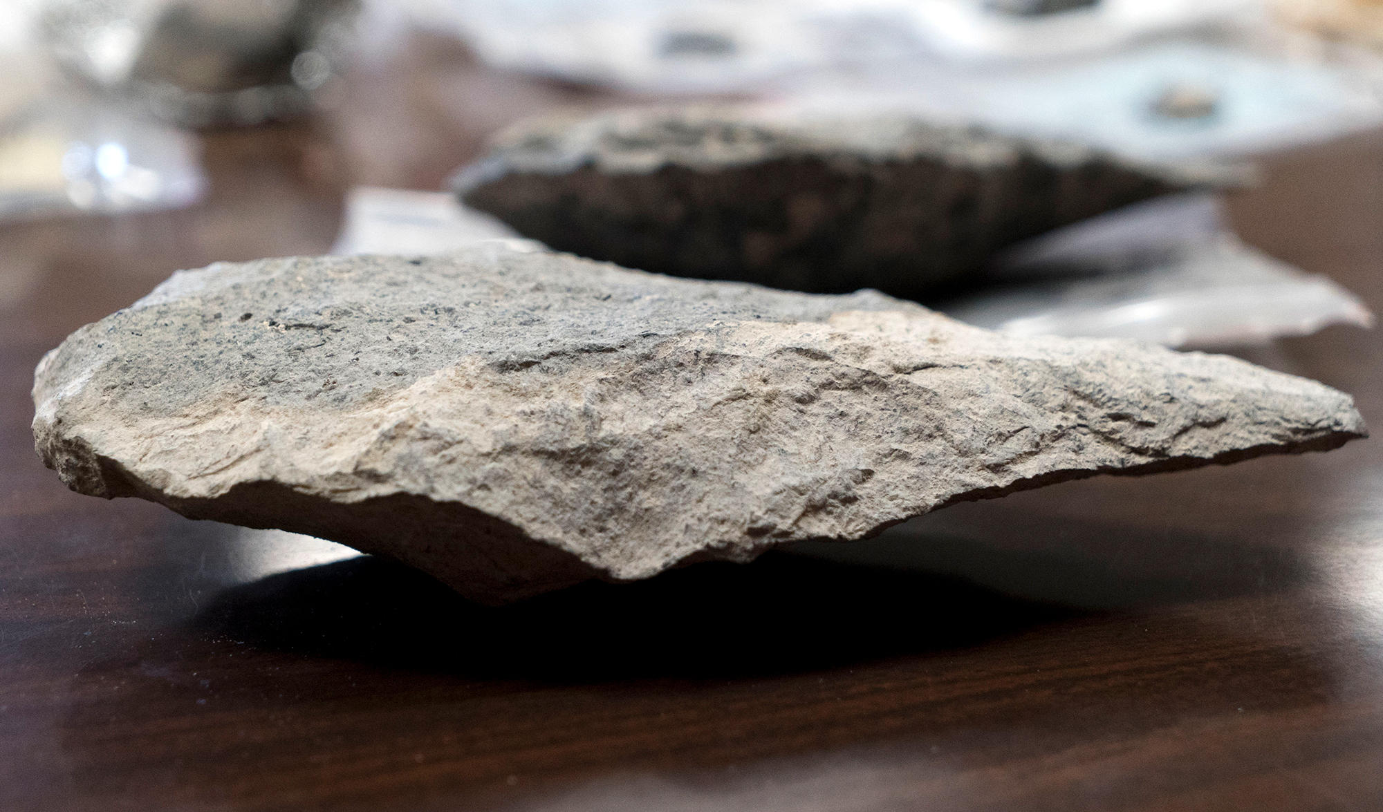 scientists-are-amazed-by-stone-age-tools-they-dug-up-in-kenya-krwg