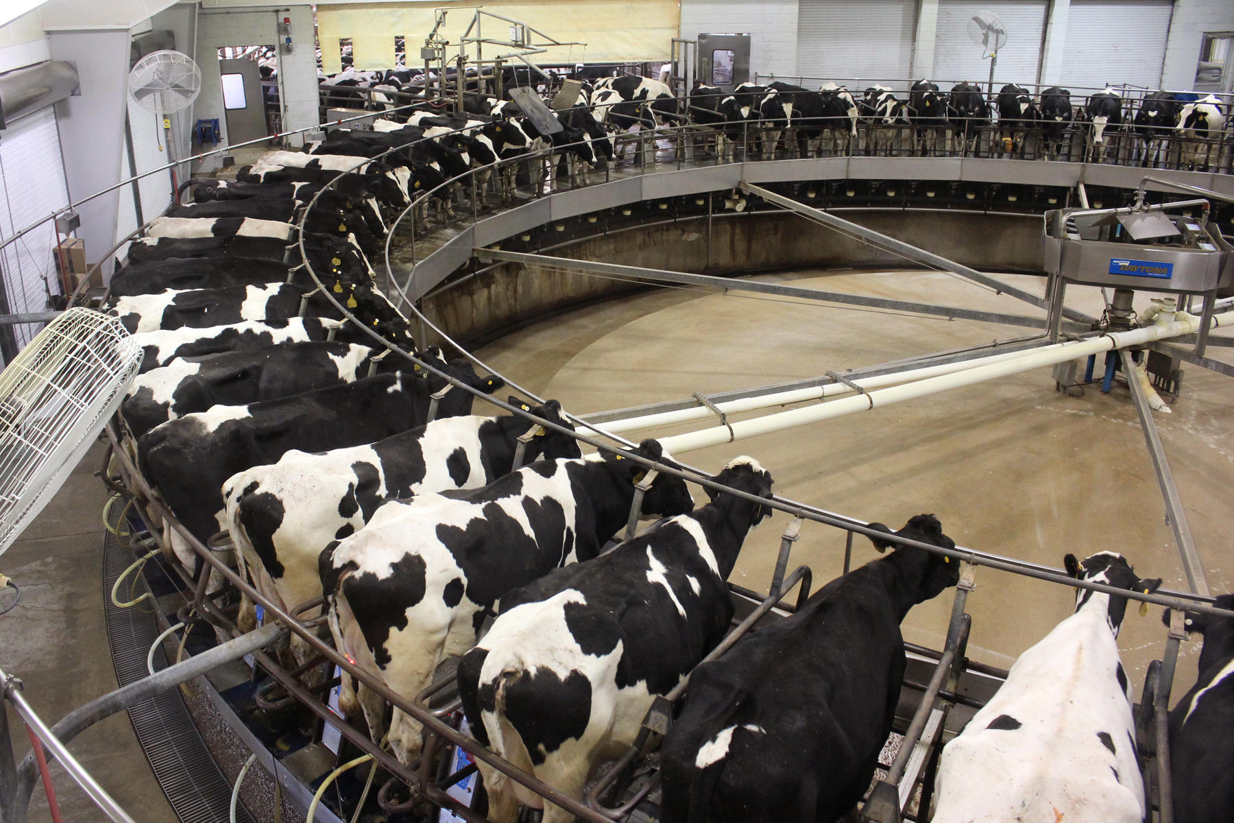 Inside The Indiana Megadairy Making Coca Cola S New Milk Kosu