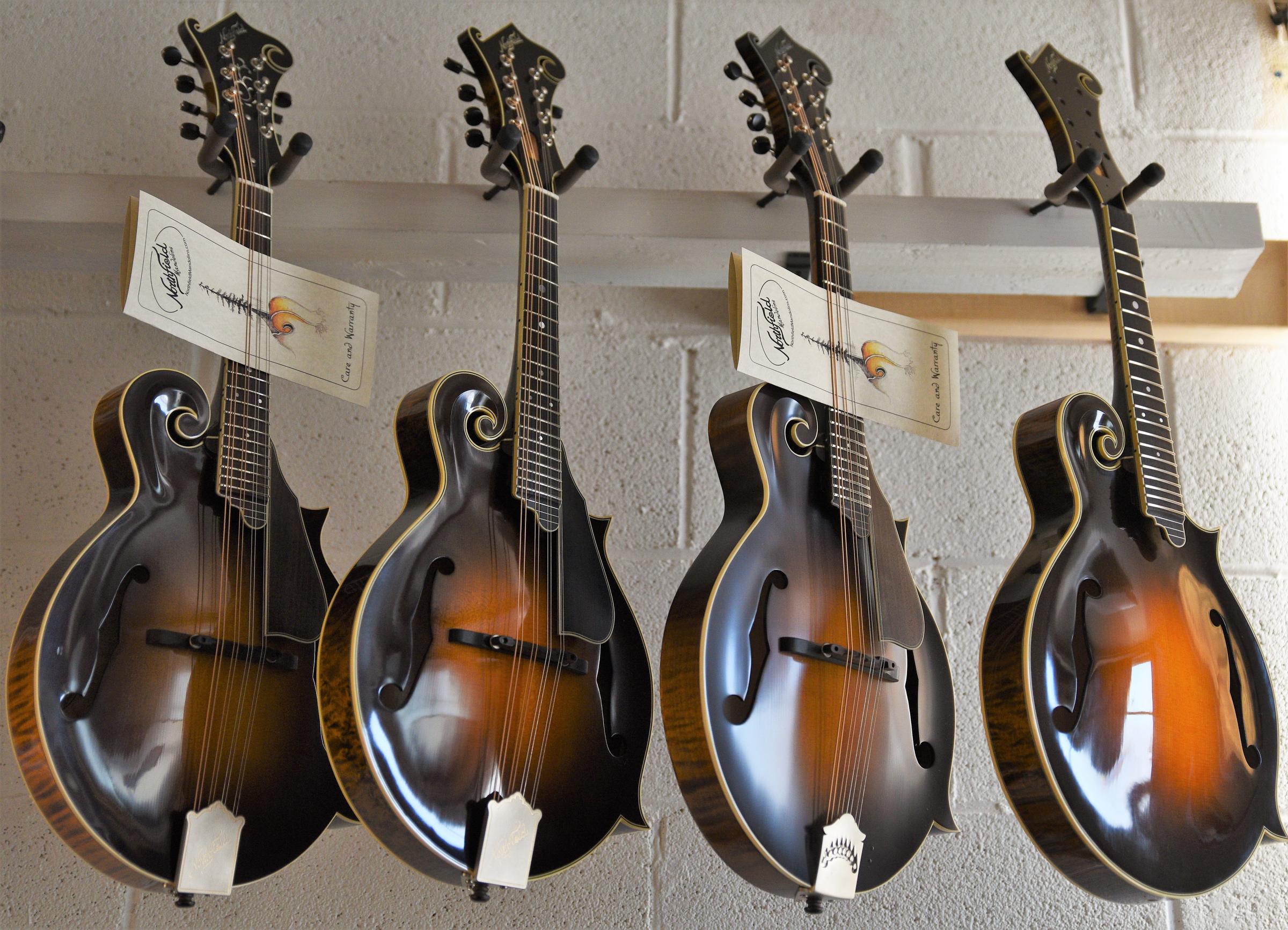 Artisans of Michigan Making mandolins in Marshall WVPE