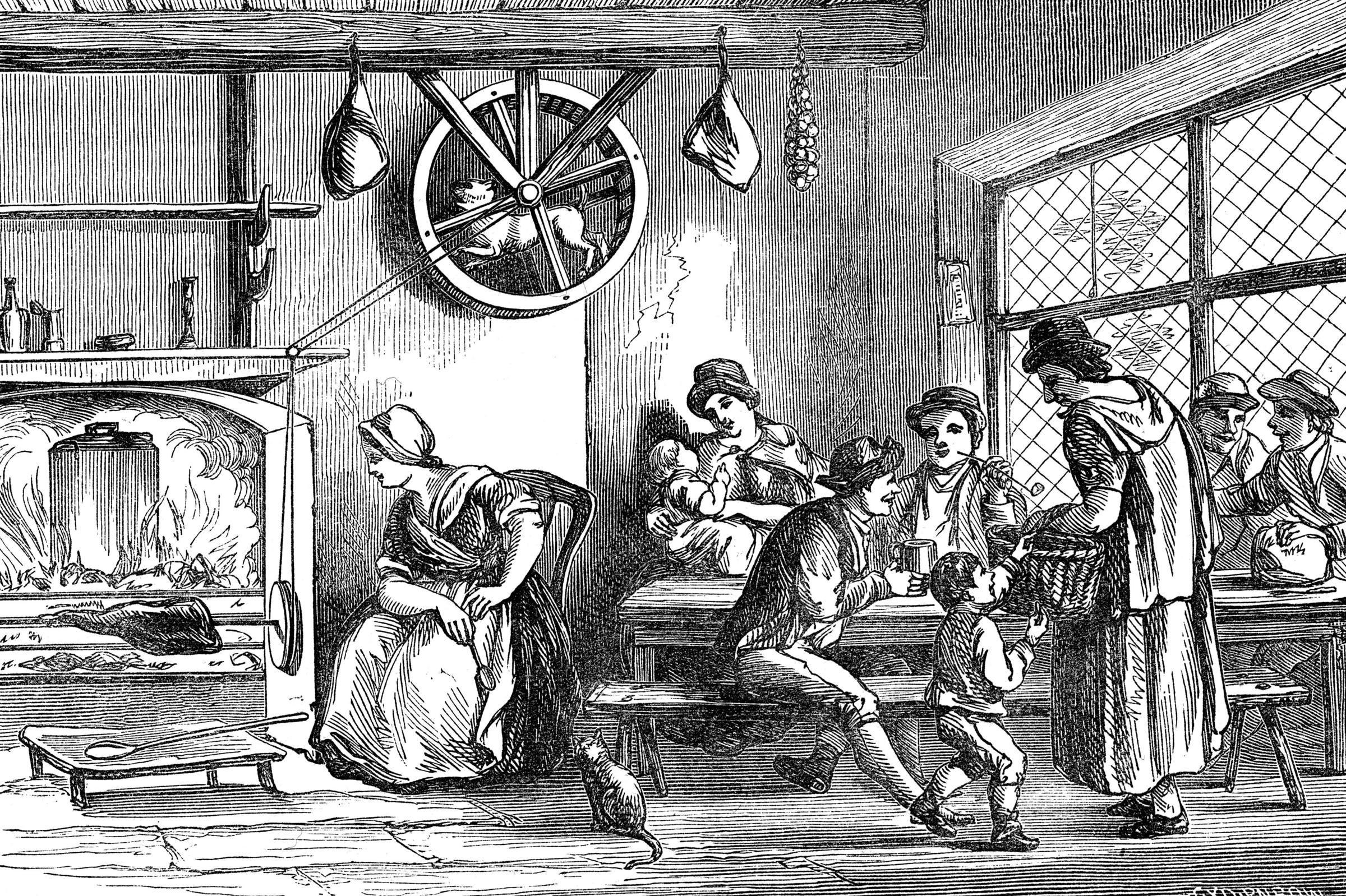 Turnspit Dogs The Rise And Fall Of The Vernepator Cur New Hampshire Public Radio