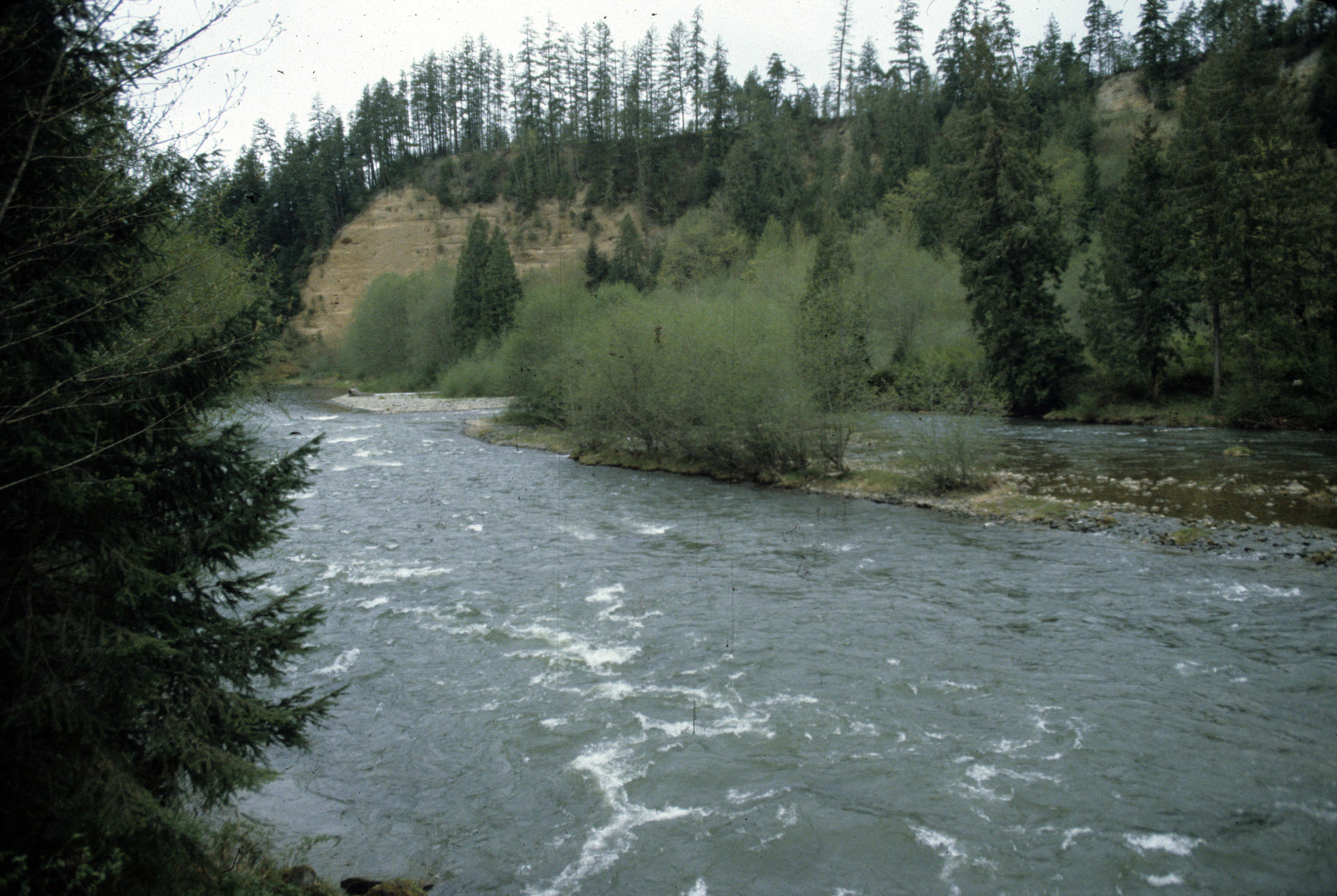 New Washington state park in the works along Nisqually River