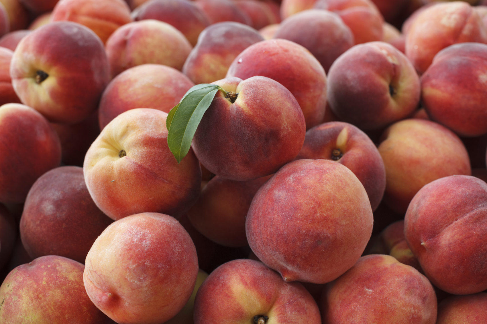 What Makes A Good Peach One Expert Shares How To Get The Most Out Of The Juicy Fruit WWNO