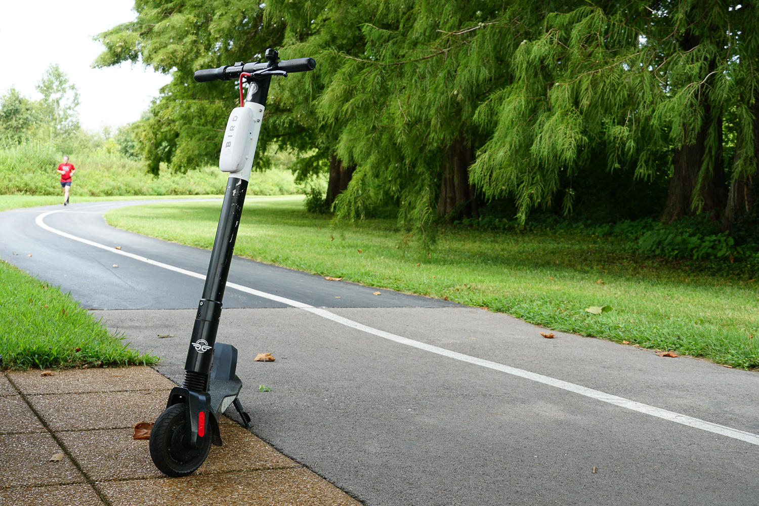 St. Louis Begins Rolling Out Safety Updates For Bird, Spin And Lime