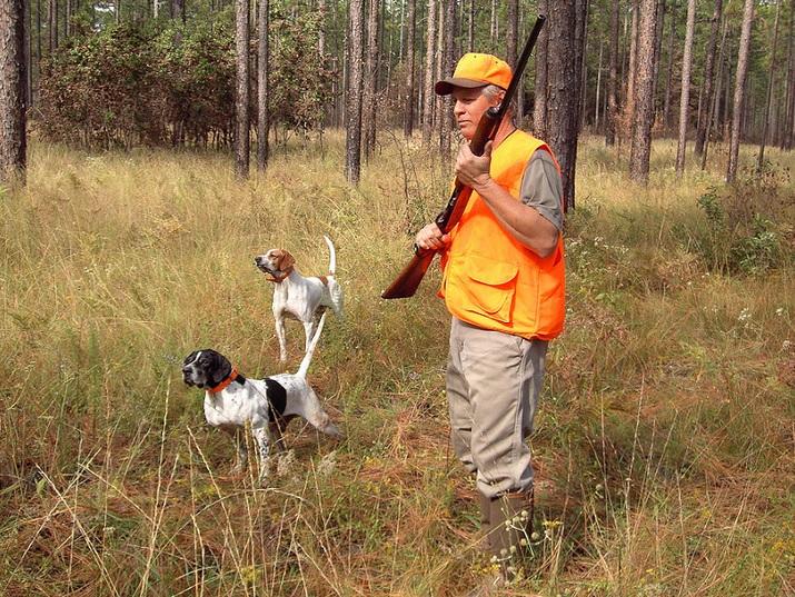 Newly Approved FWC Hunting Dog Rule Draws Some Concerns WUSF News