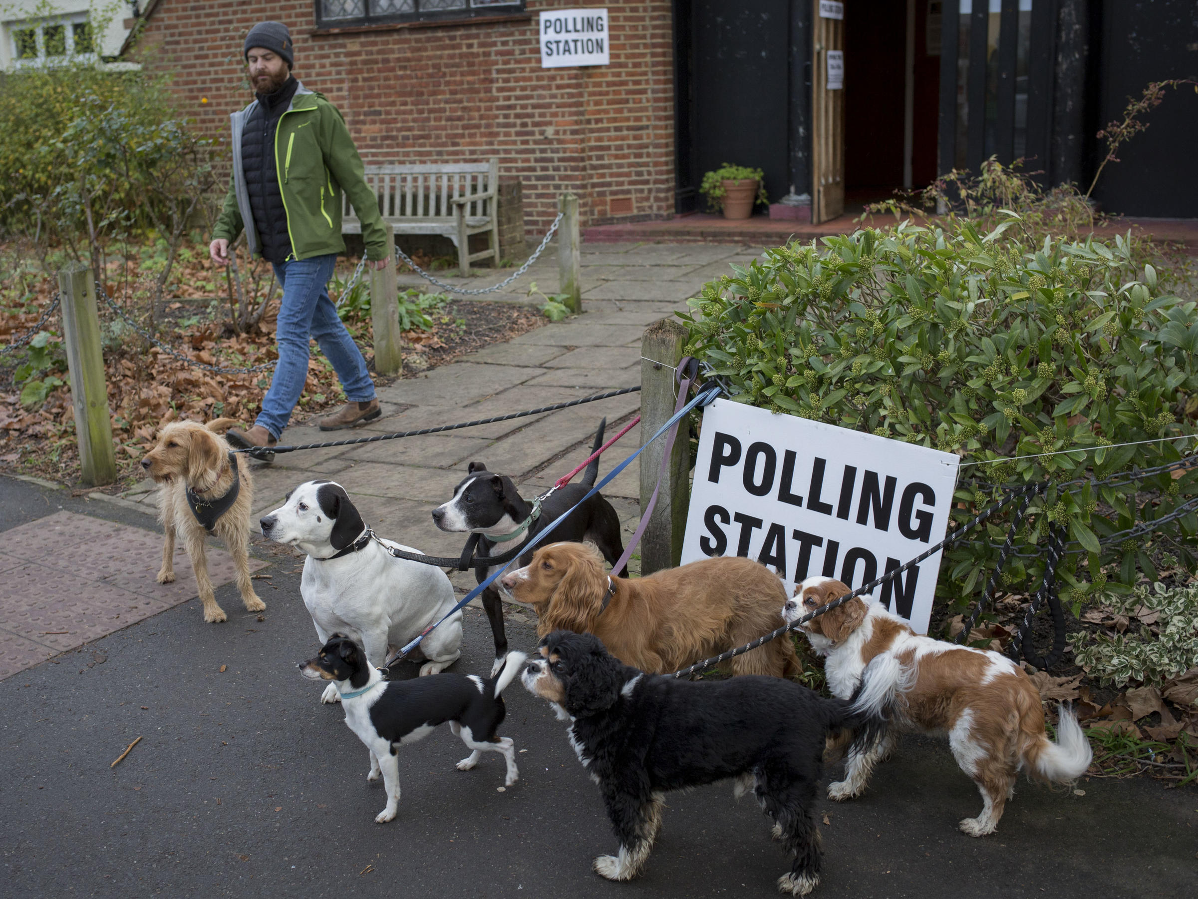 U.K. Holds A Pivotal General Election, And Voters Bring Their Dogs To