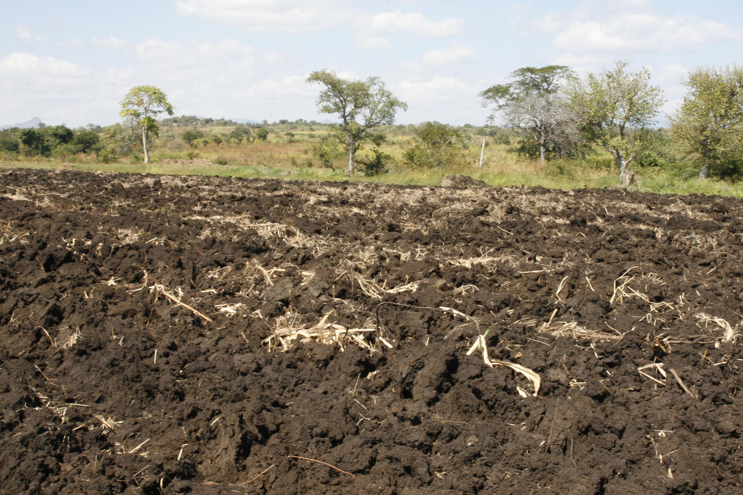 Mozambique Farmland Is Prize In Land Grab Fever KUNC