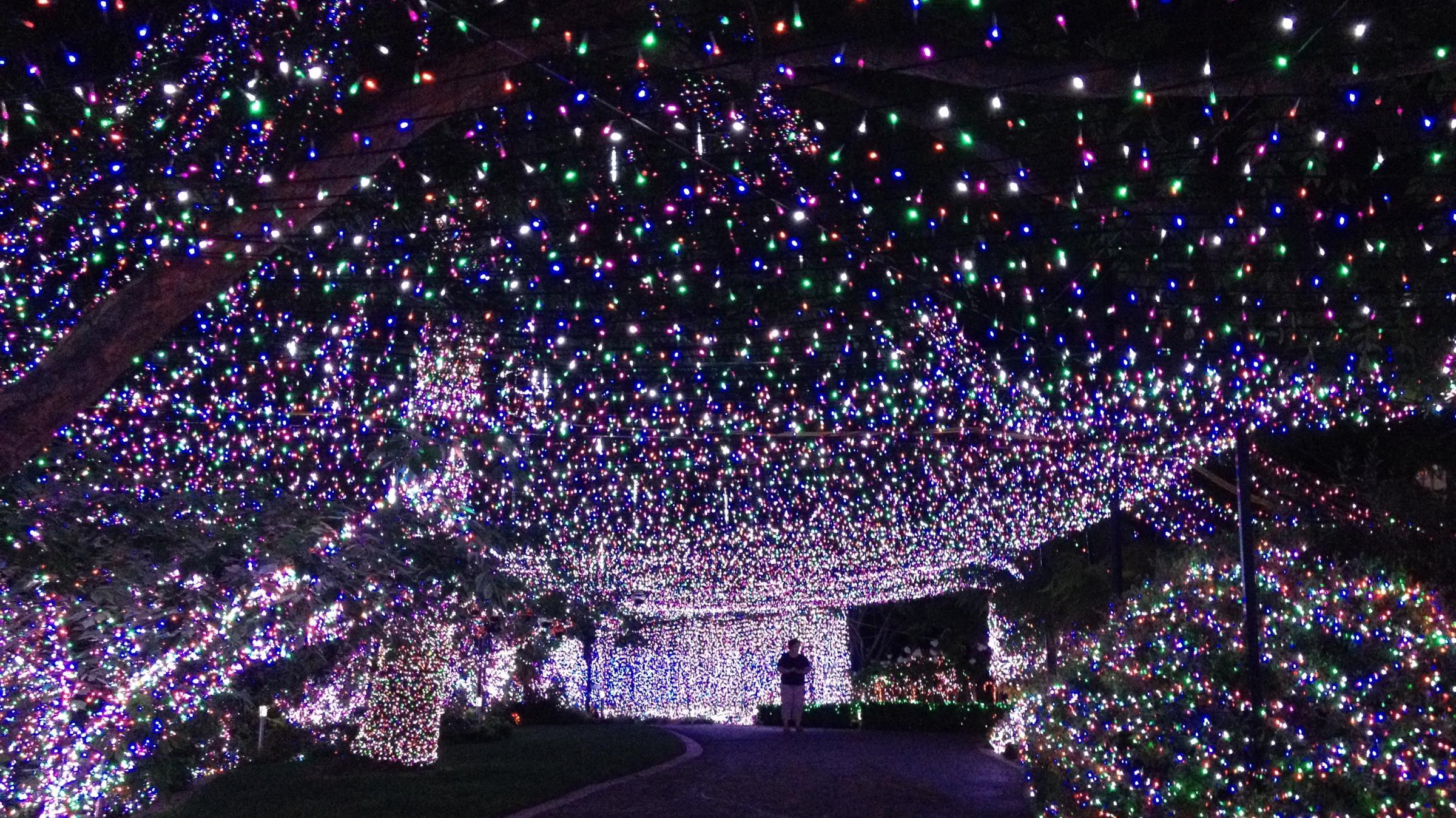 Christmas Light Display Near Me 2020 Springfield Illinois | Christmas 2020