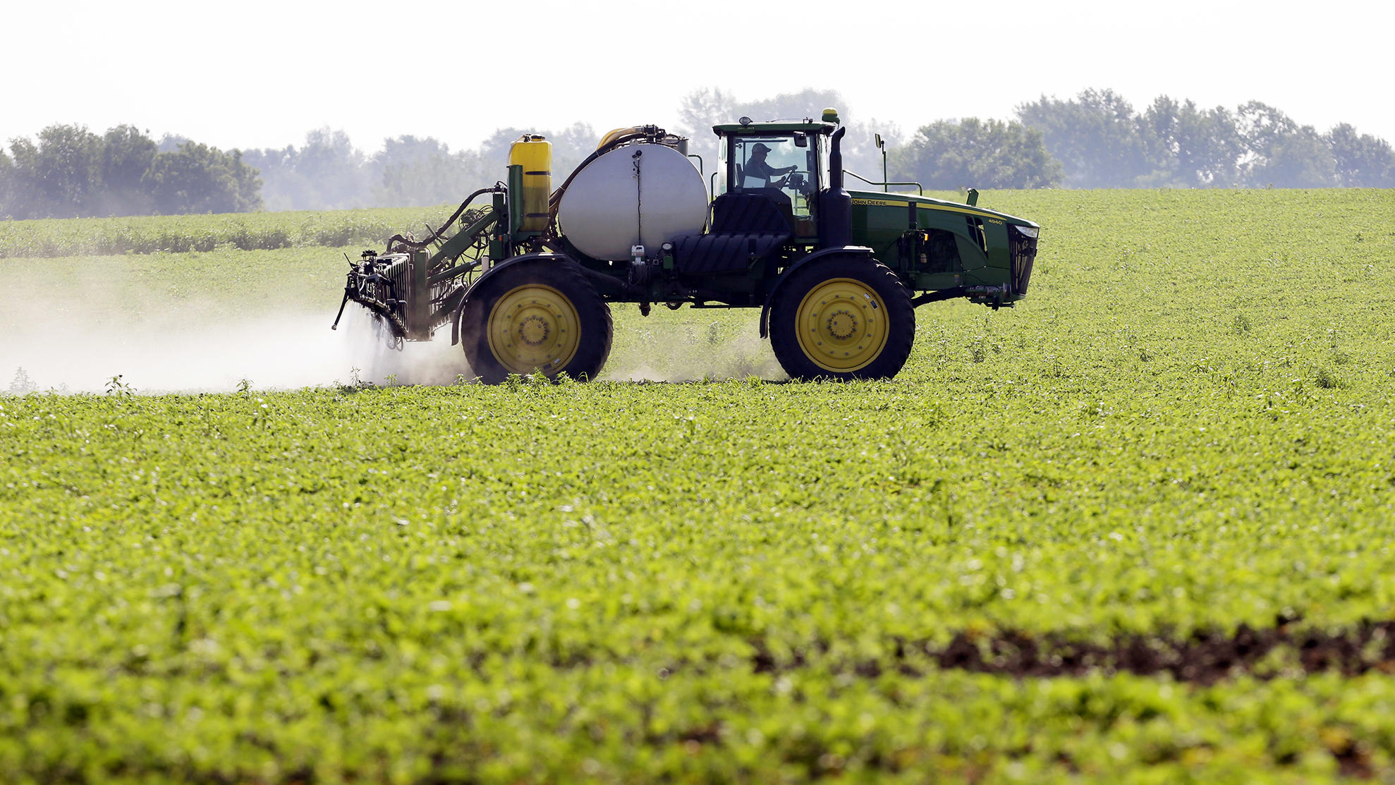 How GMOs Cut The Use Of Pesticides — And Perhaps Boosted It Again KNKX
