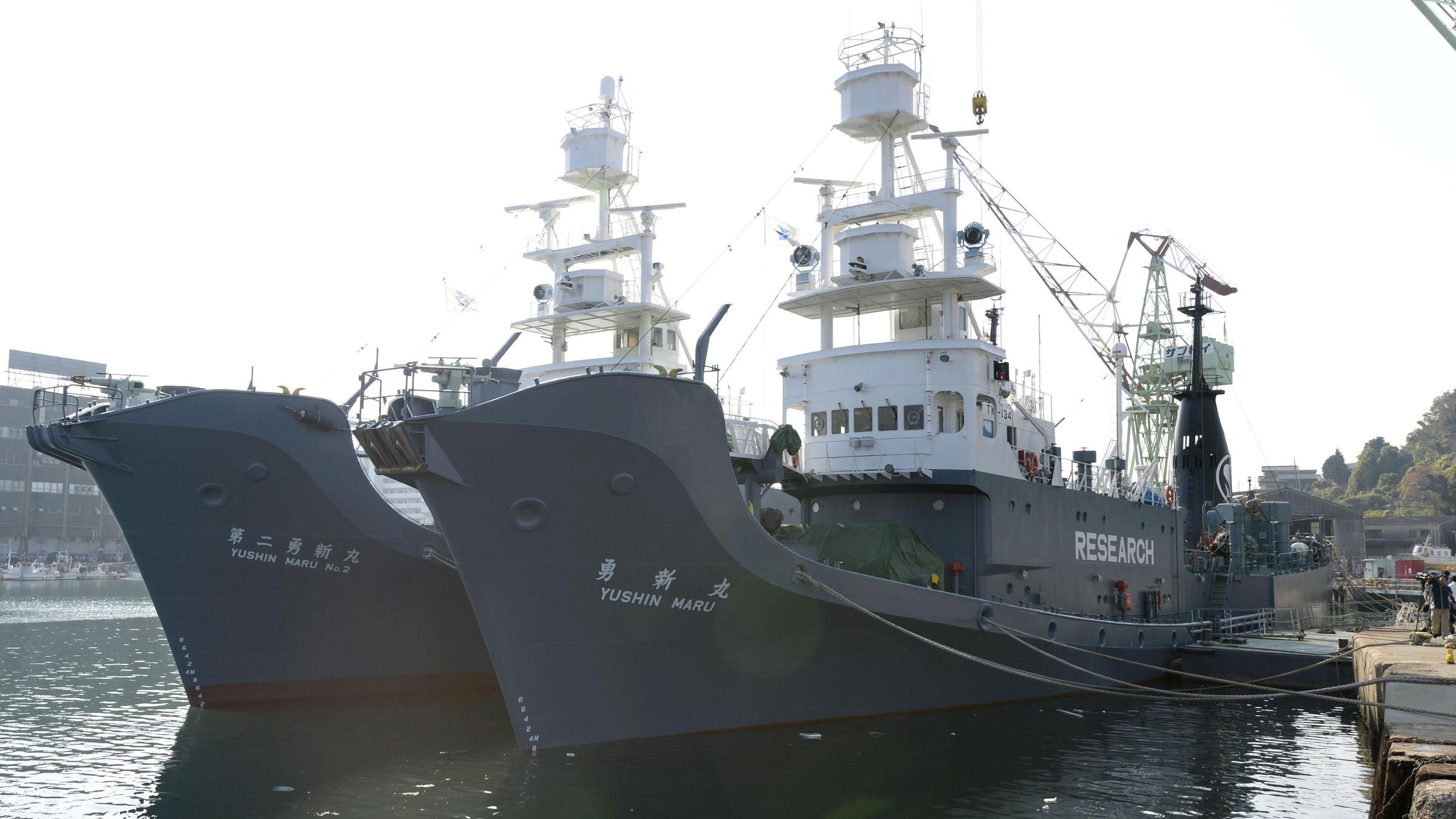 japan-embraces-commercial-whaling-pulls-out-of-global-alliance-that