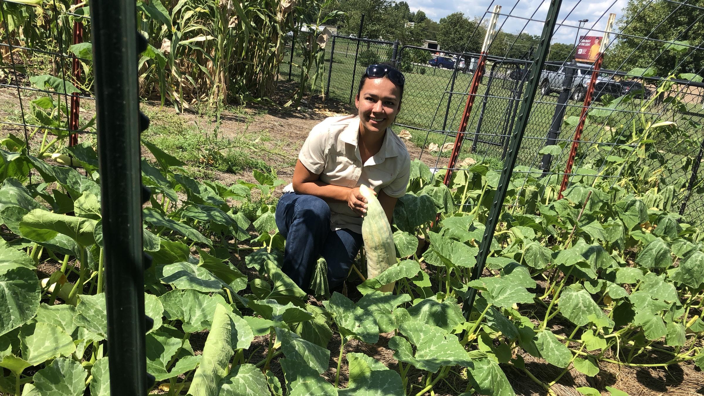 How A Seed Bank Helps Preserve Cherokee Culture Through