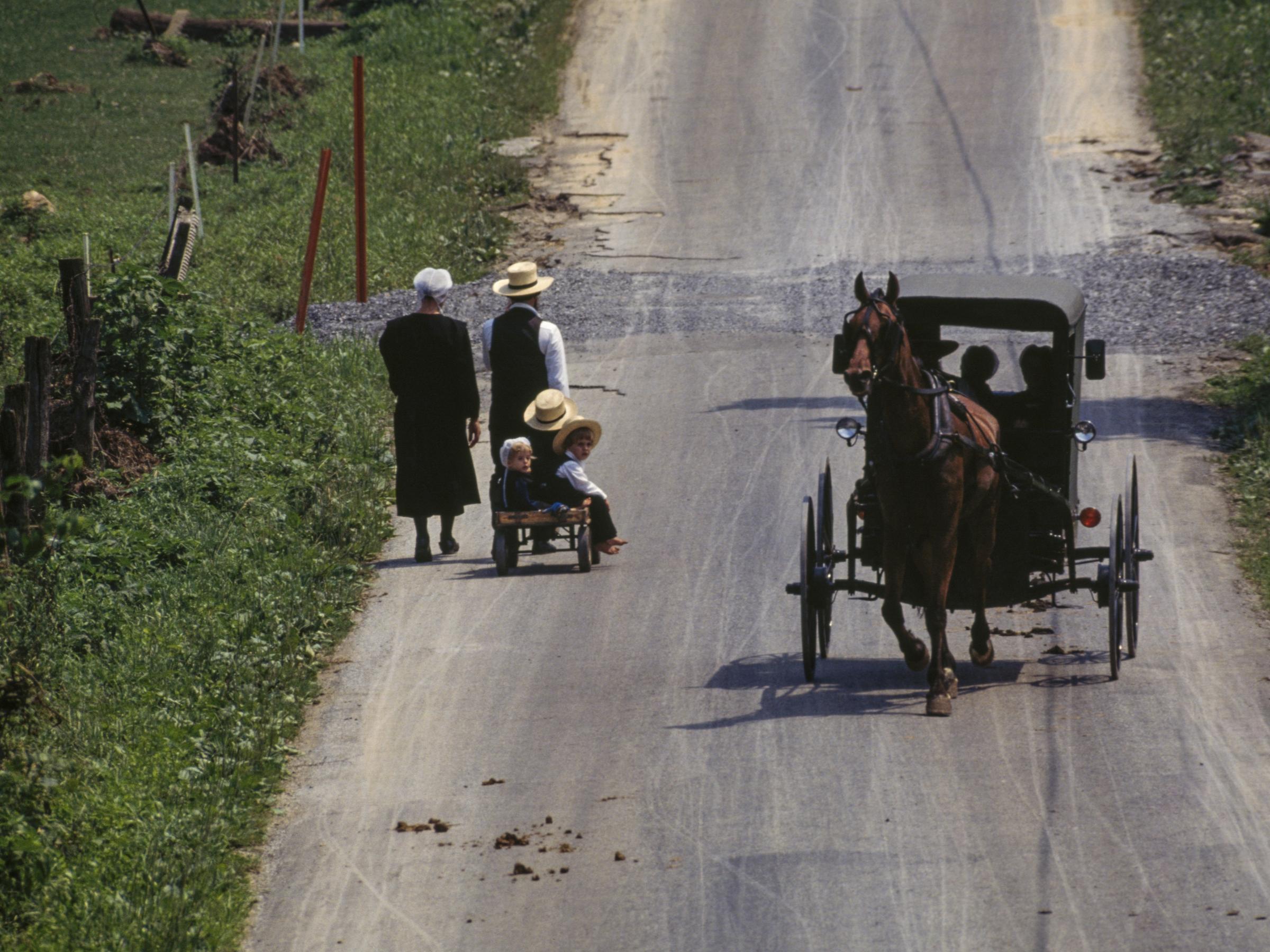 farming buggy