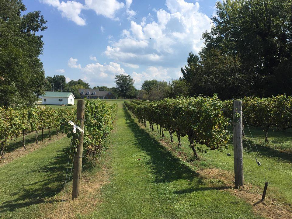 Hard Pressed KY Winery Owners Feel Stifled By Caps On Production WVXU