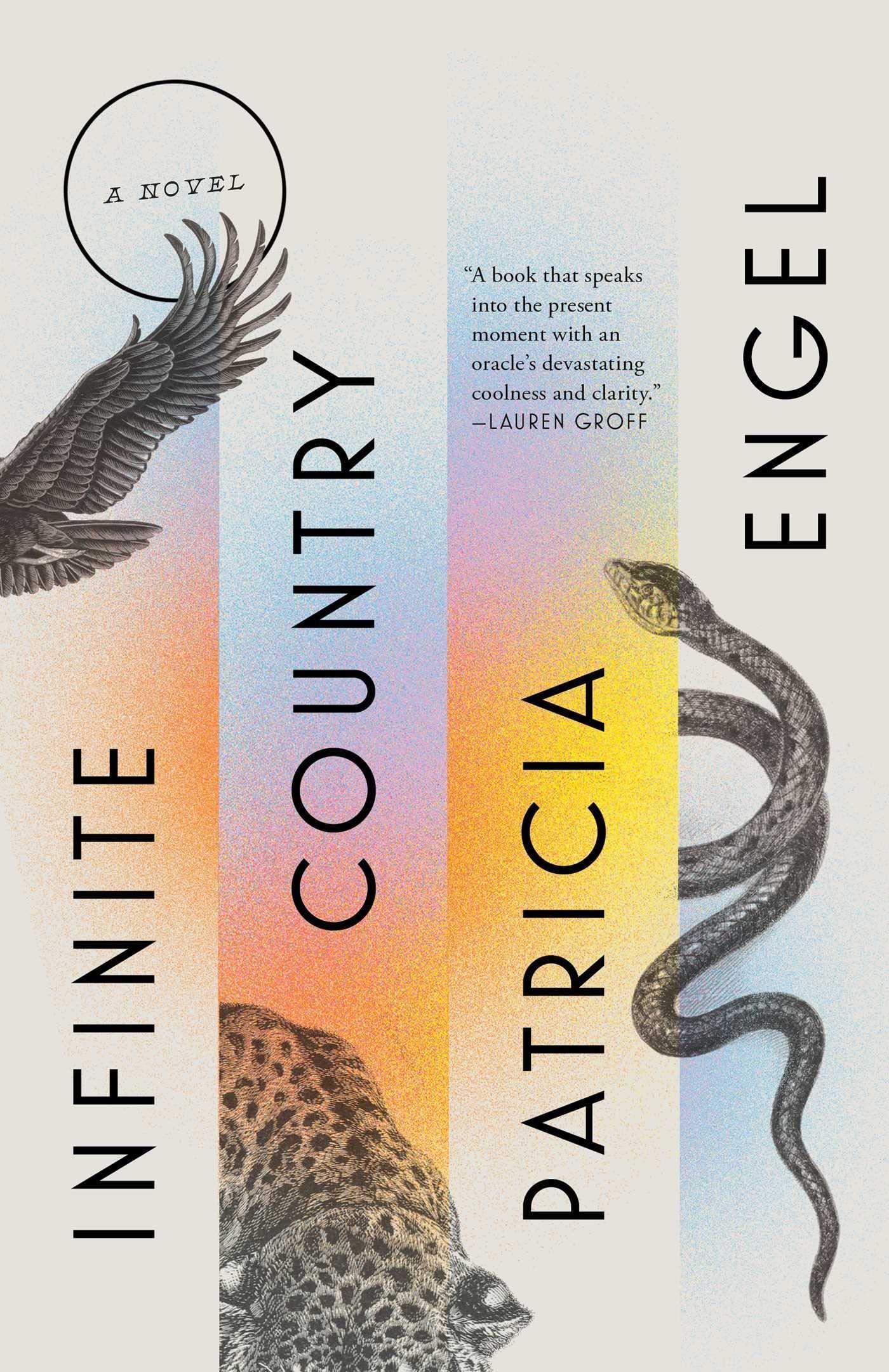 book review infinite country