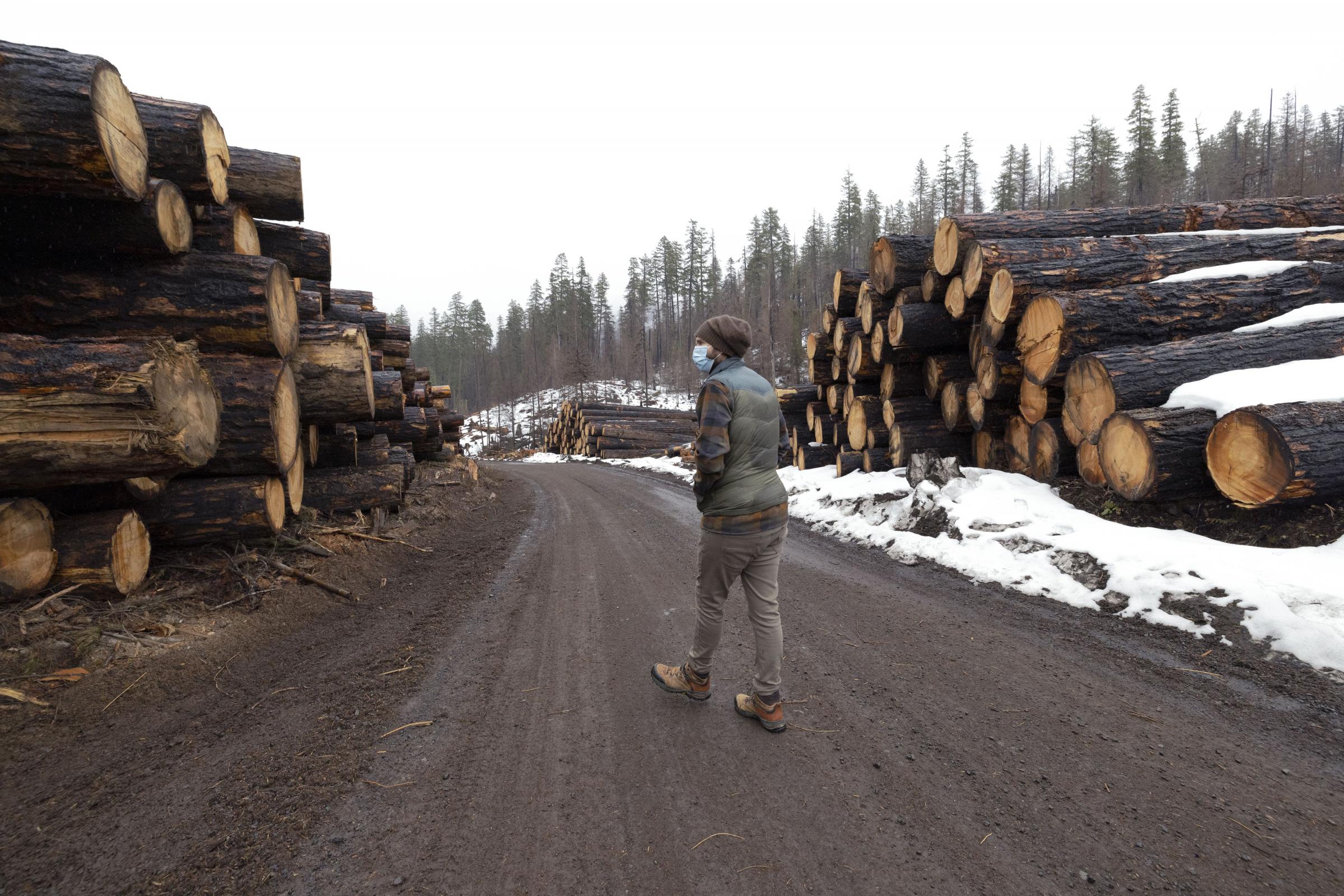 Lawmakers seek reduced ties between timber industry and Oregon board of