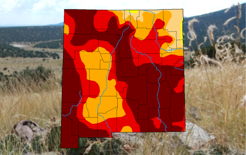 NearRecord Dryness In New Mexico Forest KRWG