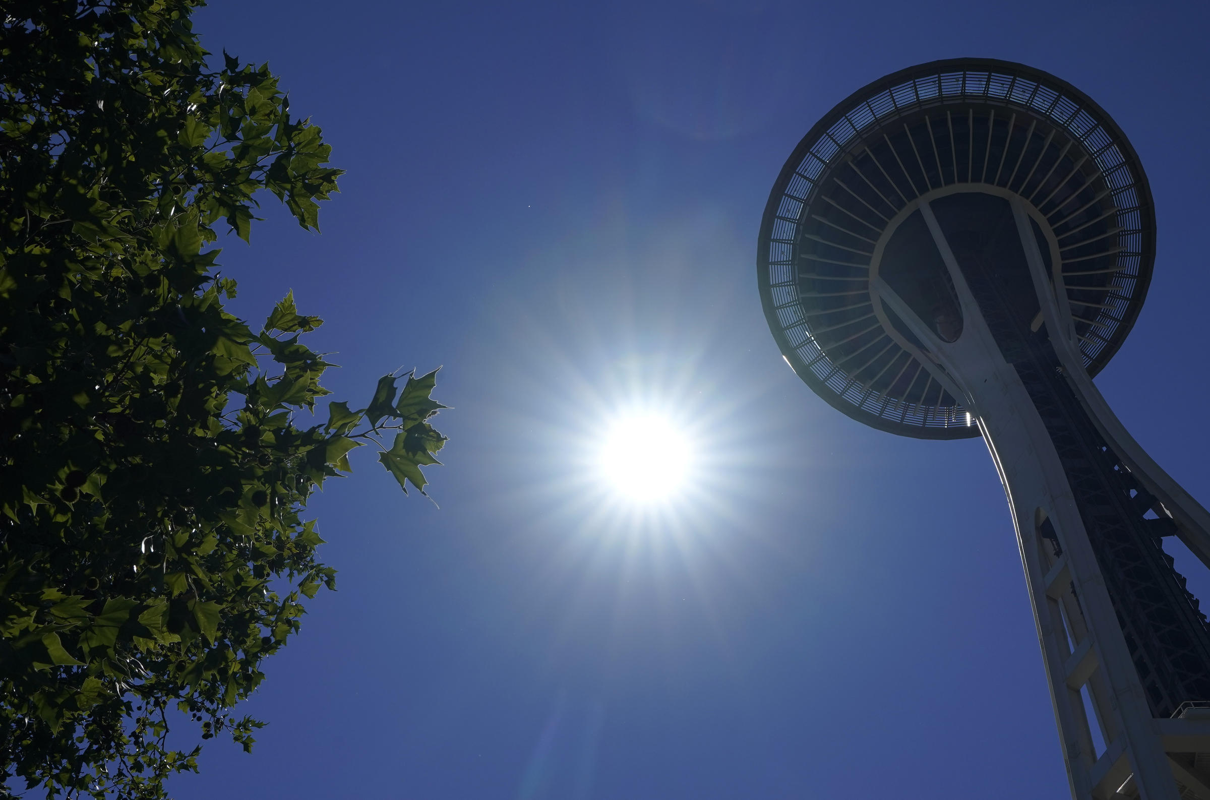 PHOTOS The RecordBreaking Heat Wave That's Scorching The Pacific