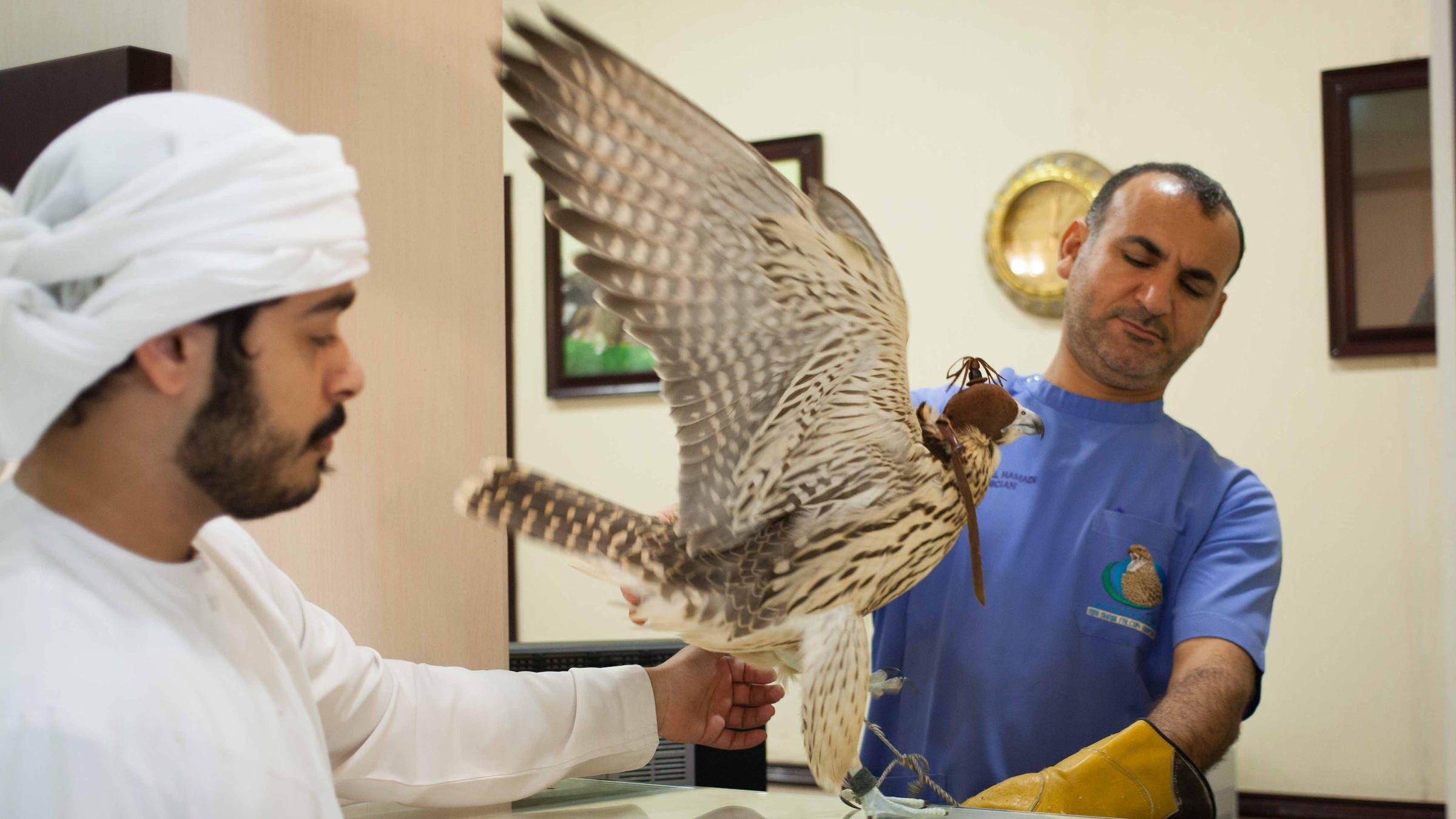 Theres A Hospital In The United Arab Emirates That Serves