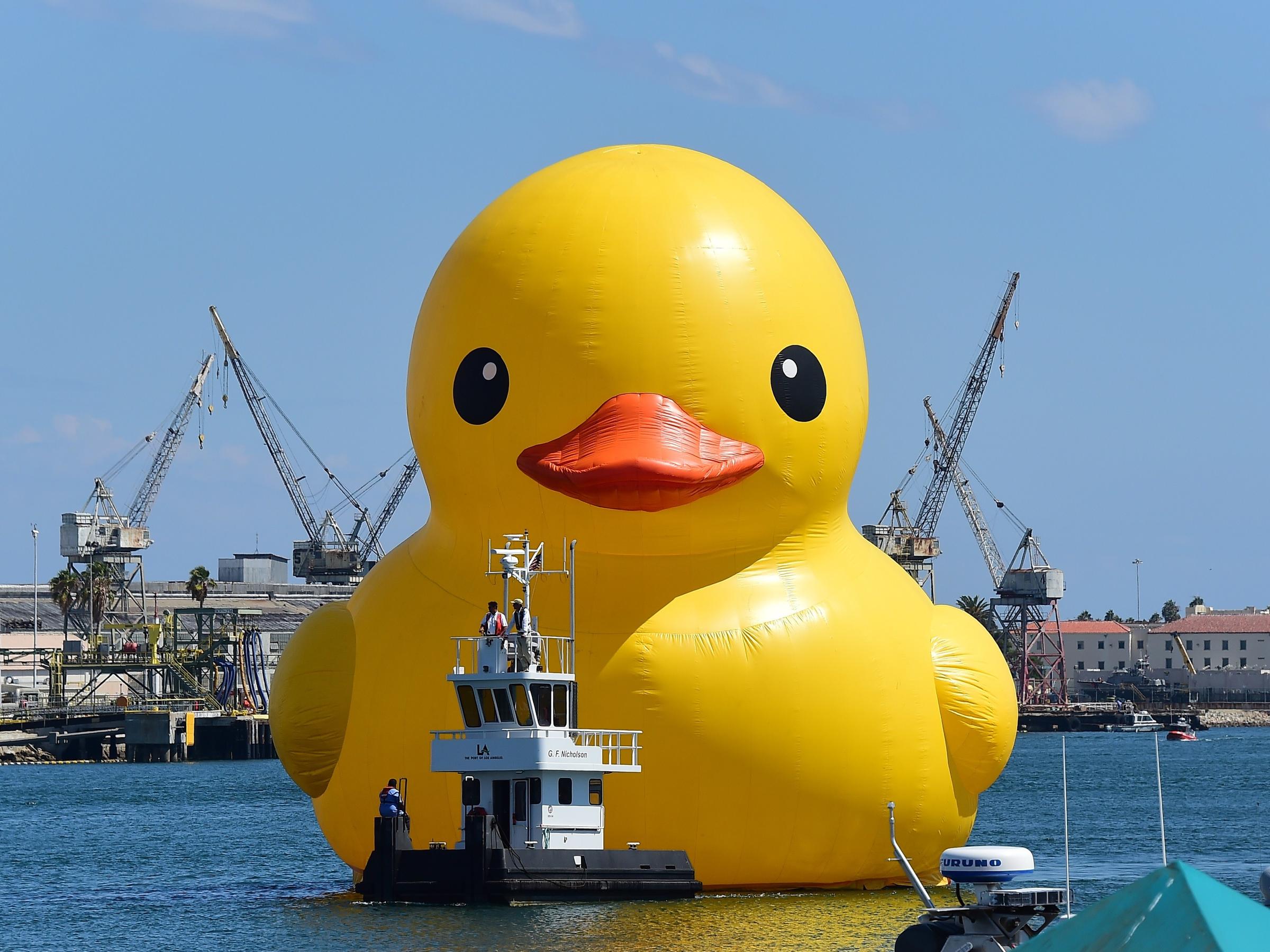 florentijn hofman rubber duck