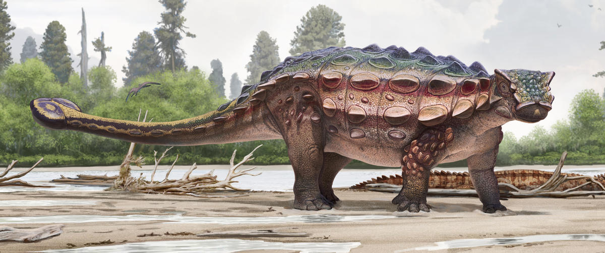 New Species Of Dinosaur Discovered In Utah UPR Utah Public Radio