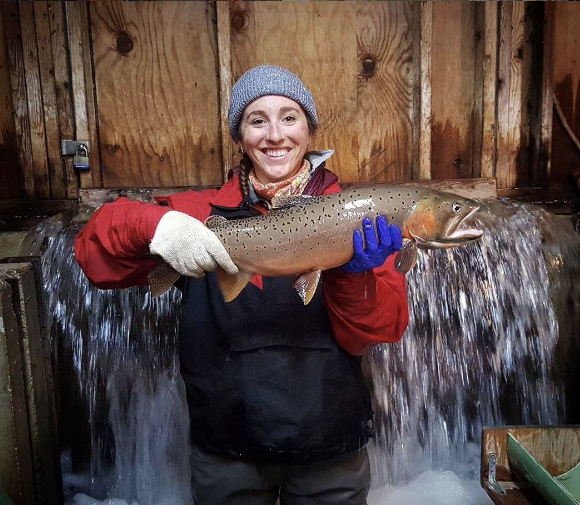 2. Fishes of Bear Lake UPR Utah Public Radio