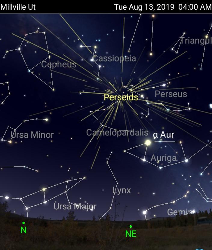 The Annual Perseid Meteor Shower Reaches Its Peak In The Early Hours Of