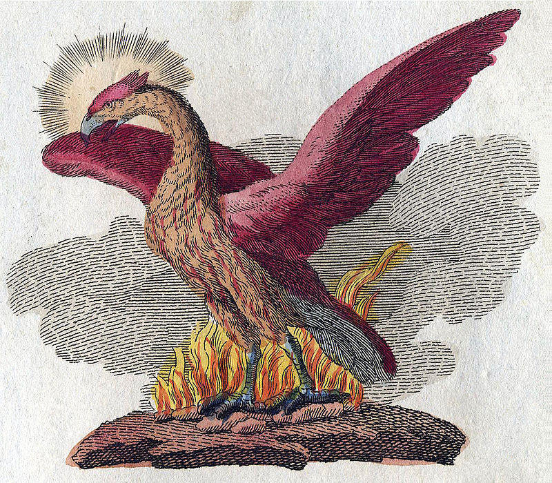 an 18th century depiction of the legendary phoenix.