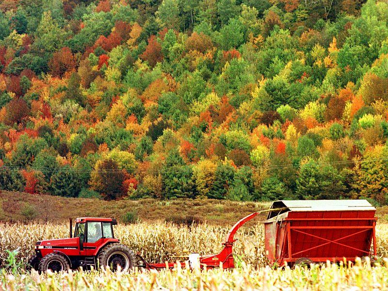 Explaining Current Use: How 40 Percent Of Vermont's Land Is Taxed ...