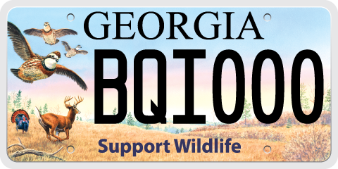 New GA Wildlife Tags to Benefit Wildlife Preservation | WABE 90.1 FM