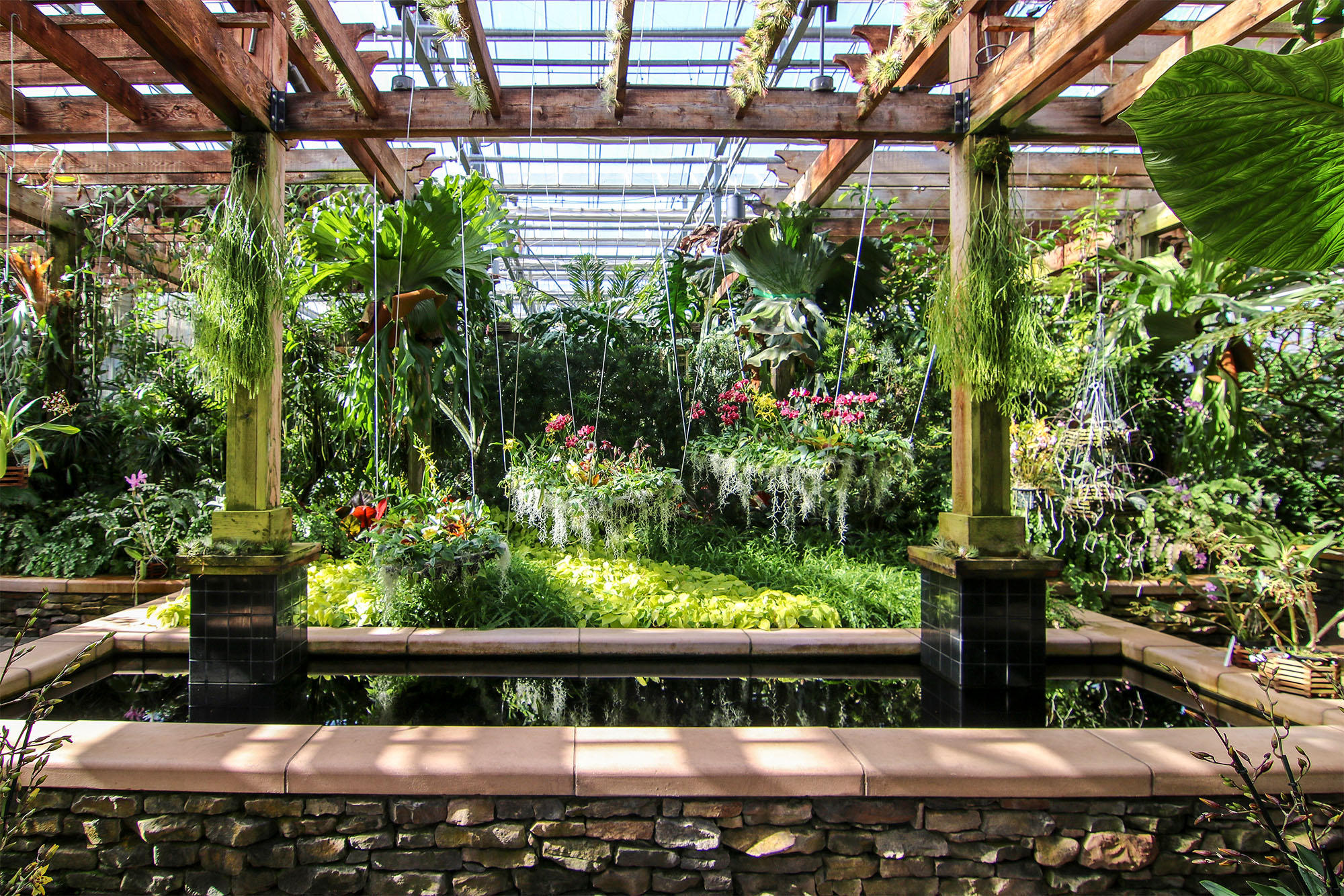 Best Botanical Garden In The Us Atlanta Competes For Top Spot