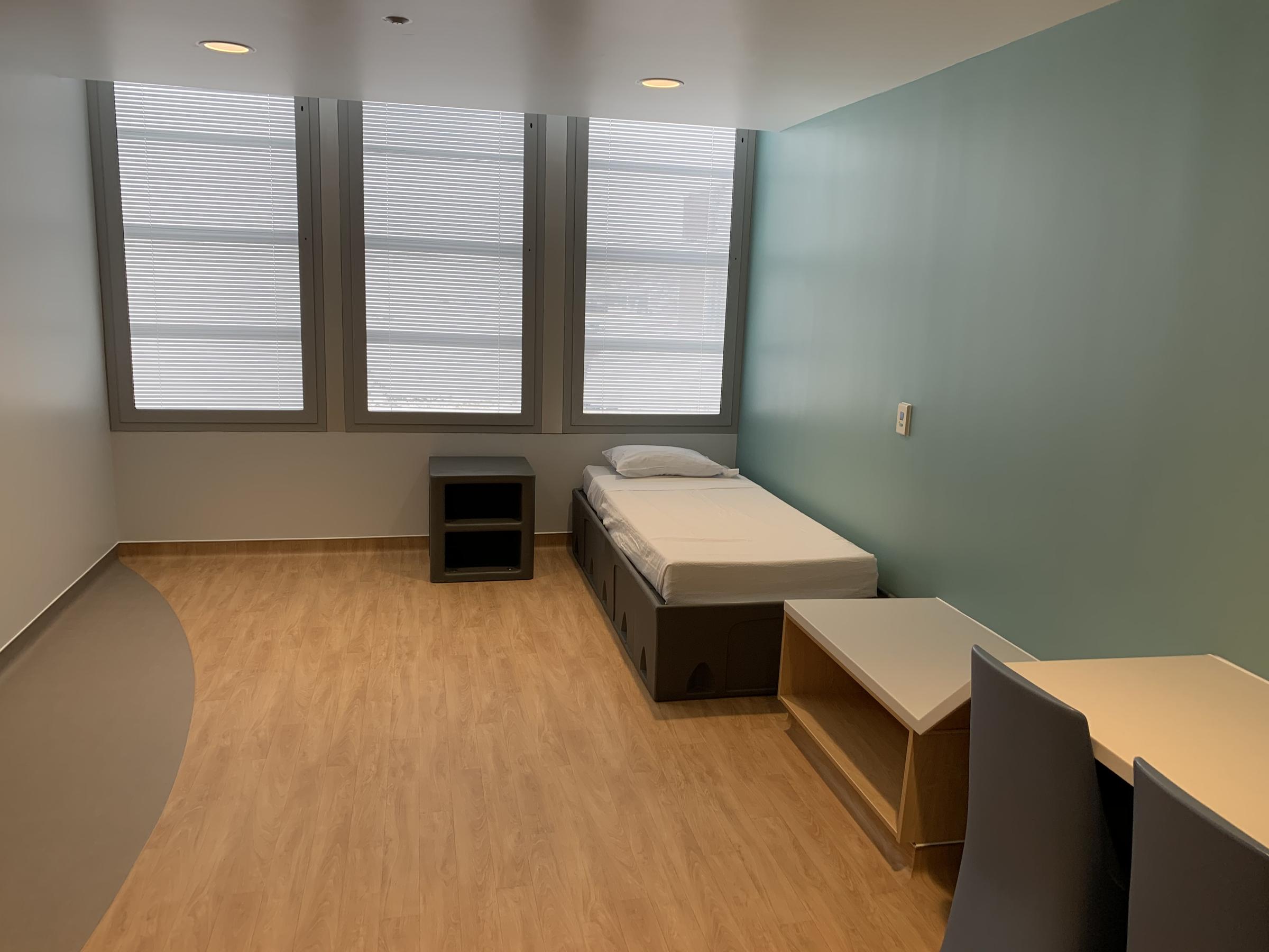 New Upstate University Adolescent Psychiatric Unit Aims to Address High