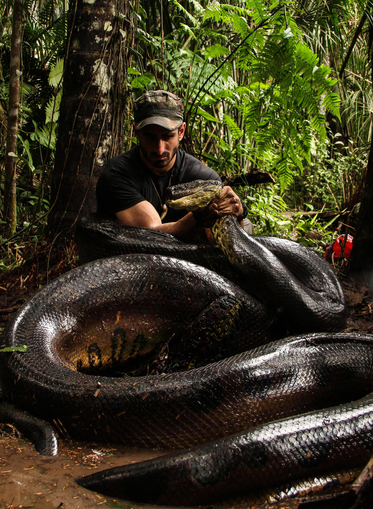 anacondas-and-the-amazon-paul-rosolie-eaten-alive-to-air-on-the