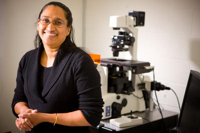 Dr. Shermali Gunawardena, University at Buffalo - Neuronal Blockages ...