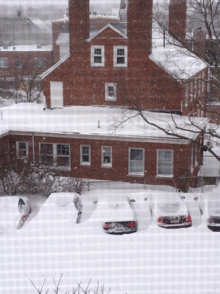 Power Outages Transit Closures Remain In Massachusetts After Major Winter Storm Wamc