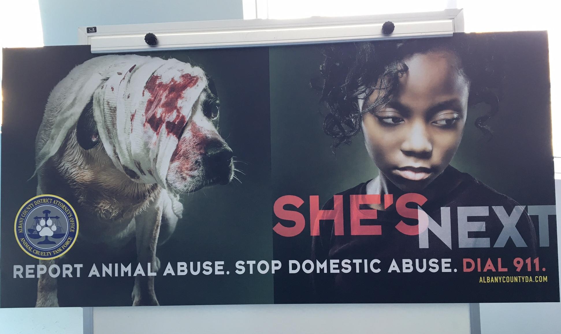 Albany County D.A.: "Report Animal Abuse, Stop Domestic Abuse" | WAMC