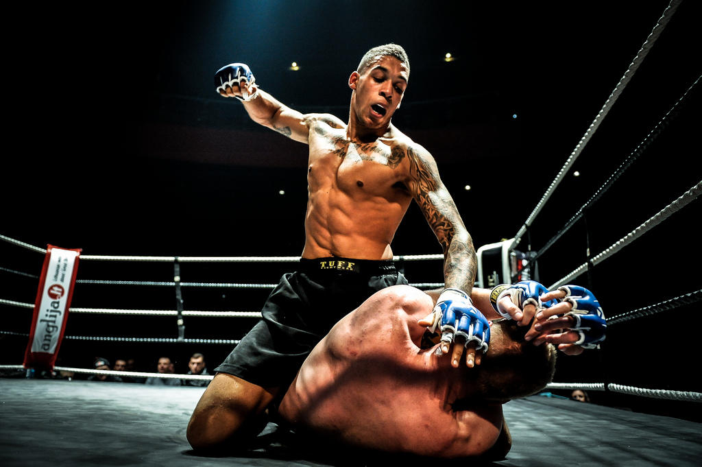mma.jpg