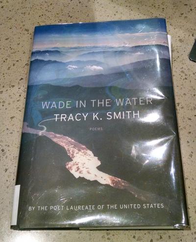 wade in the water tracy k smith