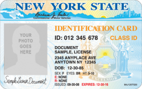Download New York State Drivers License Template Psd