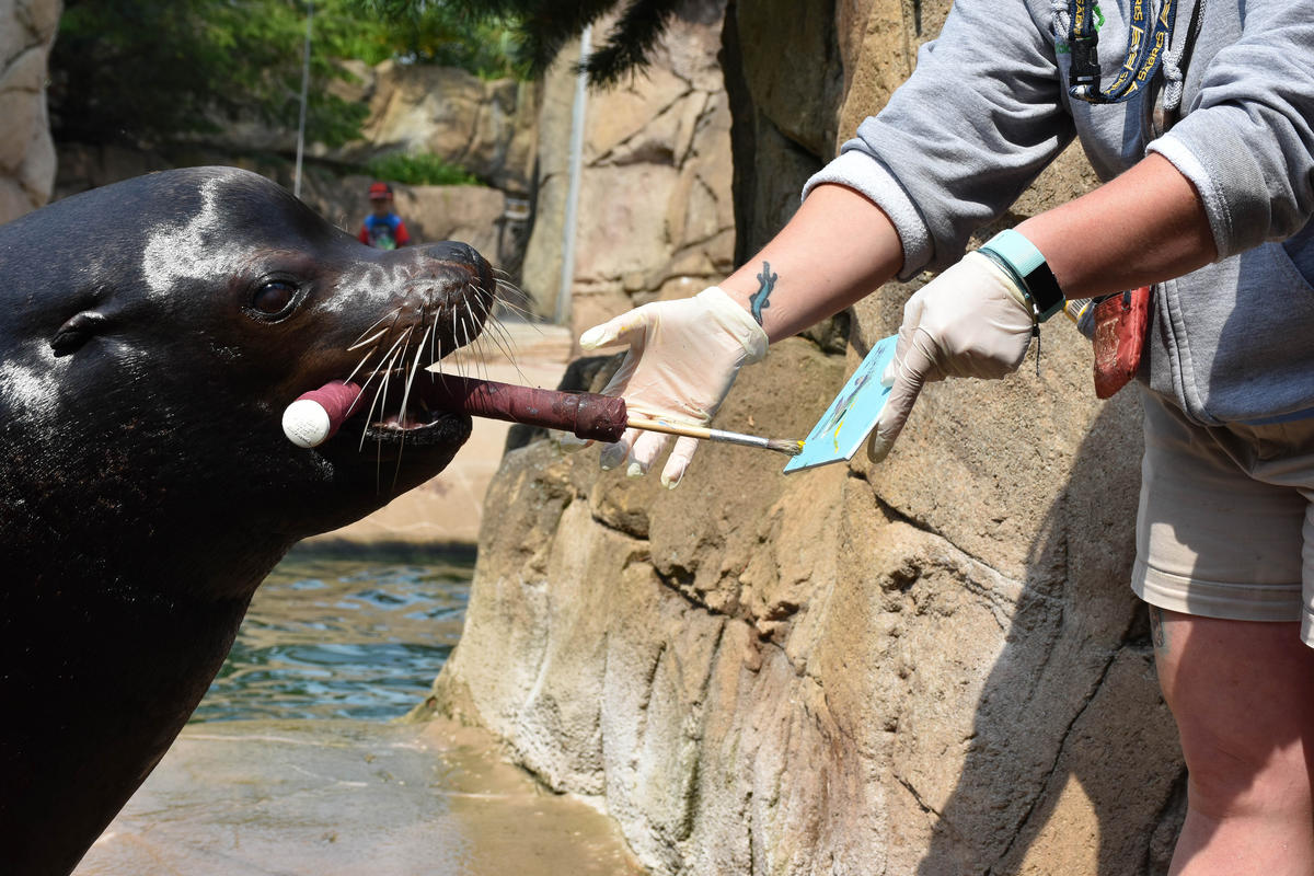 Zoo animals give true meaning to "Art Gone Wild" | WBFO