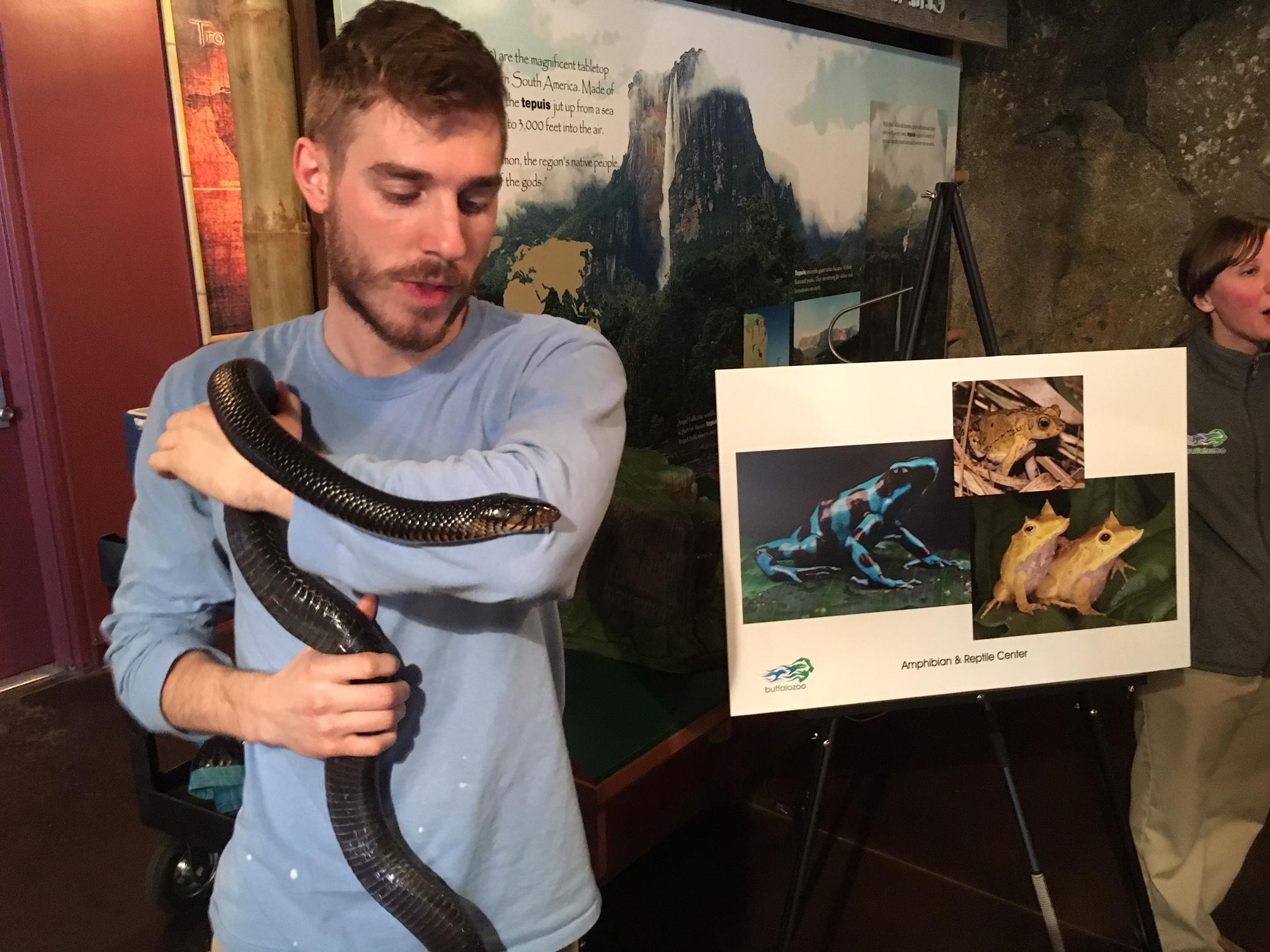 Reptile House improvements get underway WBFO