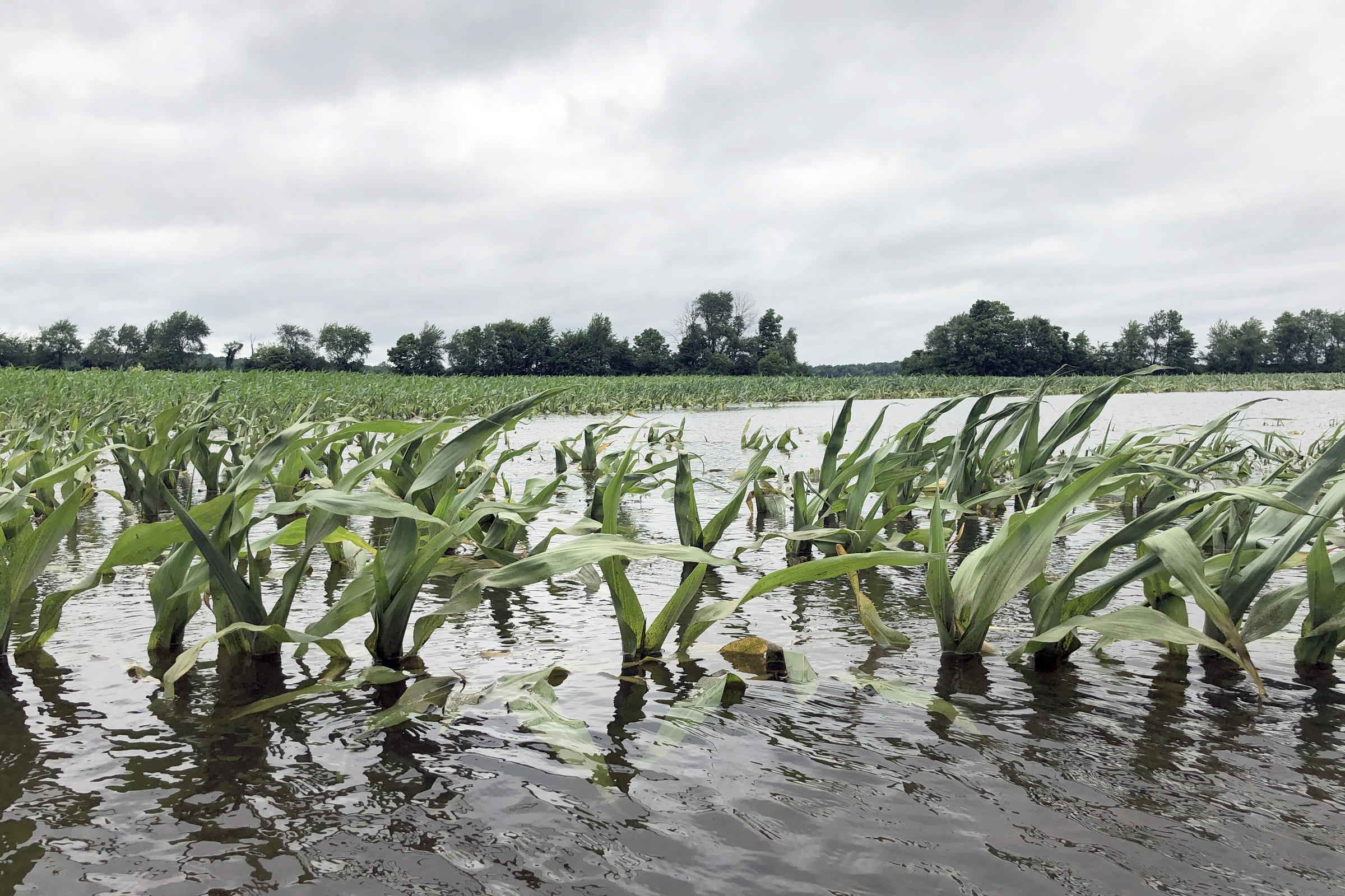 Farmers Continue To Wait For Flooded Fields To Dry | Northeast Indiana ...