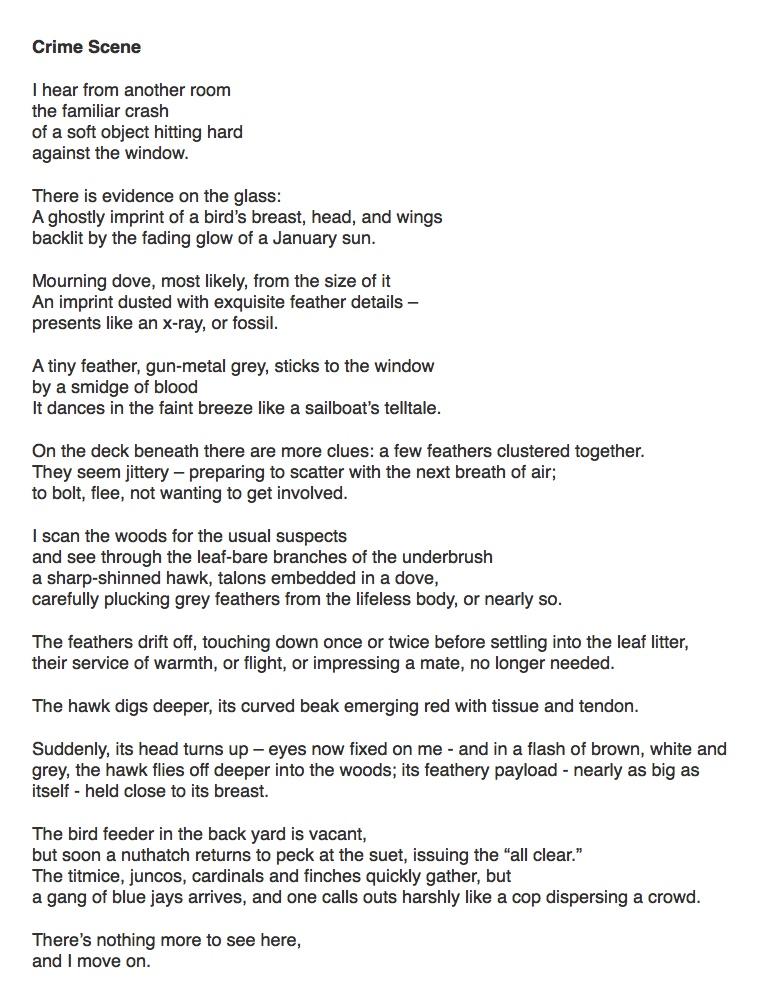 Poetry Sunday with Eric Nelson